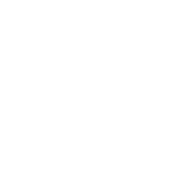 logo_nas